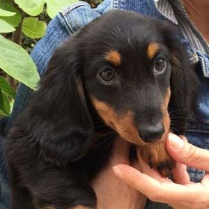 Meet your Posher, Toni